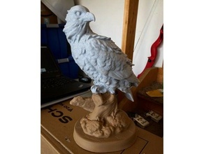 falcon statue bird birds hunter sculpture 3d print model - Mito3D