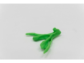 clitoris mri 2 biologie médicament sexé éducation sexuelle 3d print model - Mito3D