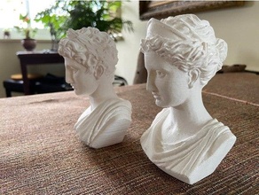 greek couple - busts 3d print model - Mito3D