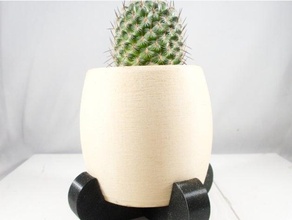 moderne désert planteur cactus jardinières pot succulent succulentes 3d print model - Mito3D