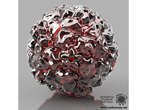 Rhinovirus Modell Biologie Protein Struktur Rahmen Wissenschaft Virus 3d print model - Mito3D