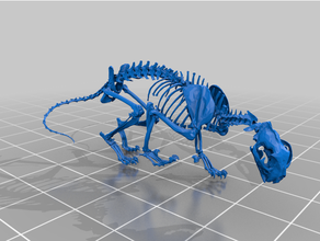 montaña león esqueleto diezmado redimensionado mini mazmorras dragones 3d print model - Mito3D