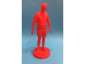 Denis Shiryaev corpo 3d Varredura 3d print model - Mito3D