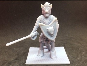 dewey krochboddum - tabaxi paladin cat catman dnd miniature rapier shield 3d print model - Mito3D