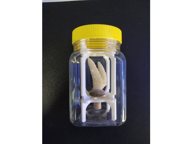 frag holders honey jar aquarium coral reefs rack inventmarine marine reef 3D print model - Mito3D