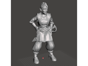 porsuk muşmula kadın half elf korsan yol bulucu pelin 3d print model - Mito3D