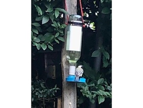 wine bottle bird drinker feeder openscad water watering 3d print model - Mito3D