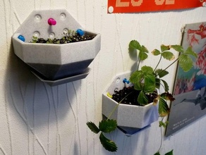 wall planter multiple sizes indoor garden plant pot mount 3d print model - Mito3D