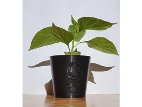 fioriera mini Groot bambino freddo impianti piccolo pianta pentola 3d print model - Mito3D