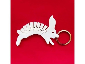 flexi bunny + ring 3d print model - Mito3D