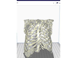 nervure 3d print model - Mito3D