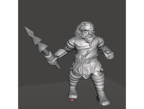 tam narwhal tate male dwarf pirate pathfinder wormwood 3d print model - Mito3D