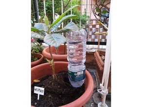 bottle spout-cap water plants 3d print model - Mito3D