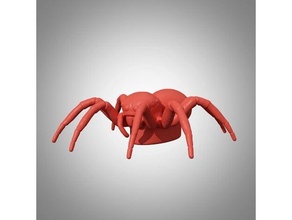 ringed pattern spider 3dpuzzle bugs miniautre puzzles 3d print model - Mito3D