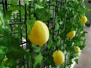 magnético limão fruta frutas limões ímãs amarelo 3d print model - Mito3D