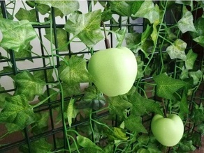 magnetic apple apples food fruit fruits magnet magnets 3d print model - Mito3D