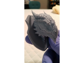 mounted red dragon head decoration dnd trophy 3d print model - Mito3D