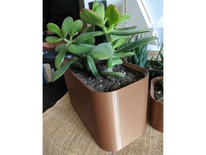 big simple pot cactus planter succulents succulent plant 3d print model - Mito3D