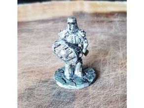 métal femme Chevalier 28mm 28mmscale dnd miniature femelle guerrier 3d print model - Mito3D