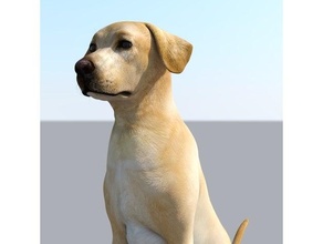 labrador cão realista animal amantes presente livre stl rede gato cnc ender amante 3d print model - Mito3D