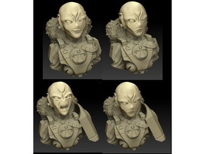 commander snowmane bust heads alien head tau wargaming warhammer 40k 3d print model - Mito3D