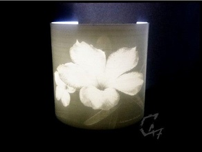 lithophane desert rose blender blender3d c47 decoration flower light 3d print model - Mito3D