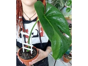 Pflanze ausruhen Unterstützung 300mm 150mm Blume Topf wachsen wachsend Pflanzer Pflanzgefäße Pflanzen 3d print model - Mito3D