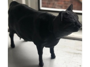 mucca gatti testa gatto meshmixer 3d print model - Mito3D