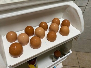 egg tray efrigerator 3d print model - Mito3D