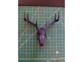 poly deer skull 3d print model - Mito3D