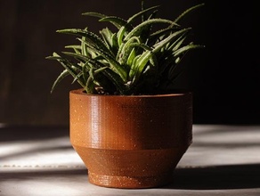 modern succulent planter aloe flower pot small succulents 3d print model - Mito3D