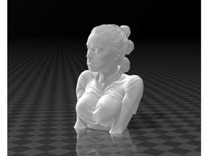 rey gökyüzü gezgini papatya Ridley büst 3d yırtmaç Sanat özelleştirilmiş kadın Jedi minyatür openscad ışın heykel Yıldız Savaşları star savaşlar tepsi 3d print model - Mito3D