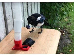caixa passarinho animal automático alimentador pássaro pássaros Casa Câmera casa Corvo corvo pega opto animais framboesa pi 3d print model - Mito3D