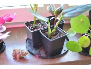 l'eau collectionneur plantes plante plateau vase mode plat assiette pot 3d print model - Mito3D