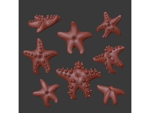 estrella mar 3d print model - Mito3D