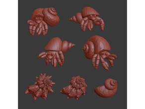 hermit crabs crab 3d print model - Mito3D