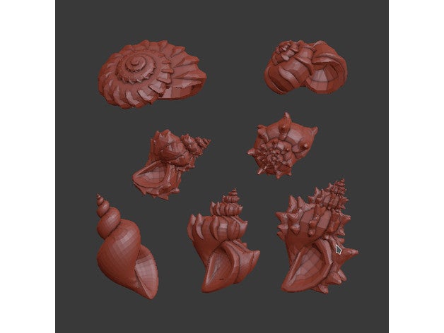 spiral shells shell 3D print model - Mito3D