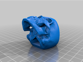 cranio pomello 3d print model - Mito3D