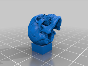 temel elegoo Merkür araçlar Kulp destek 3d print model - Mito3D