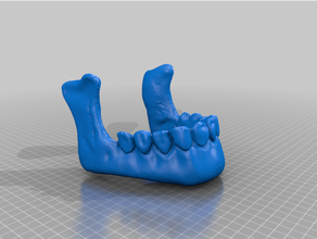 demon skull v2 separate jaw hollow 3d print model - Mito3D