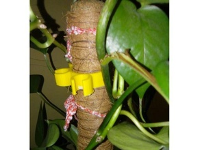 hedera bonote planta maceta alpinismo soporte apoyo 3d print model - Mito3D
