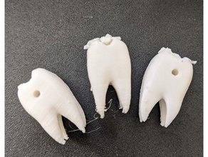 tooth bead 3d print model - Mito3D