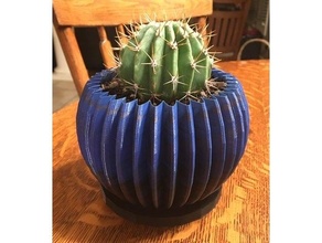 cactus planter drainage tray holes flower pot plant 3d print model - Mito3D