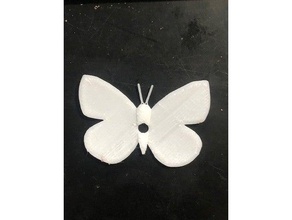 chou papillon nuit 3d print model - Mito3D