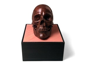 anatomico umano maschio cranio aggiornato 11 7 2020 anatomia riferimento Lotmaxx modello pla scultura scheletro 3d print model - Mito3D