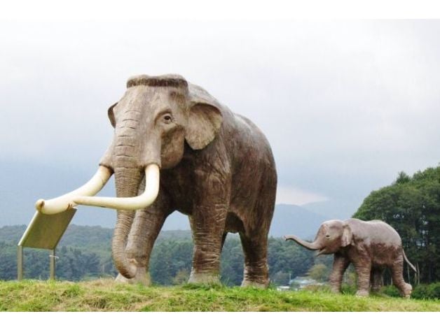 paleoloxodon elefante mammut preistorico animali lana 3D print model - Mito3D