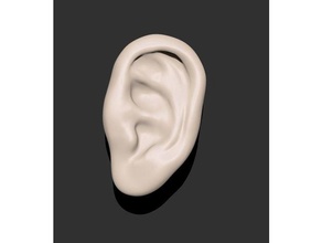 van gogh's cut ear art artist body human vangogh 3d print model - Mito3D