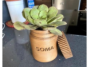 planter pot soma brave art model pill bottle container planters systainer wood filament 3d print model - Mito3D