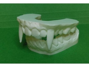 vampiro denti dentale modello Halloween 2 pezzo supporti dentalmodel zanne decorazione puntello 3d print model - Mito3D
