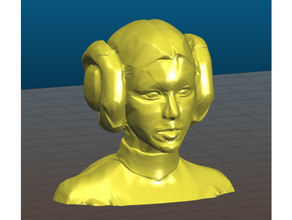 leia busto artístico concepto princesa organa guerra Galaxias estrella guerras 3d print model - Mito3D
